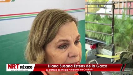 Entregan 9 Mil Árboles en la Región Carbonífera: Impulsan la Reforestación y el Cuidado Ambiental