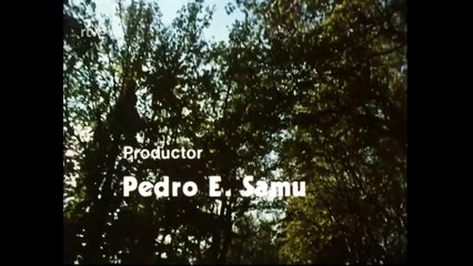 Nuestros arboles - El cerezo