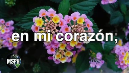 Despedida de santo Sábado de Jehová 5