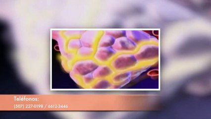 🍼 Lactancia Materna: Beneficios, Consejos y Vínculo Madre-Hijo | Dra. Mireya Alvear