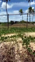 Prefeitura de Mata de São João é acusada de instalar cerca em praias da cidade