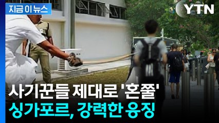 한 대만 맞아도 평생 가는 상처...싱가포르, 사기범에 '태형' 의무화 [지금이뉴스]  / YTN