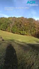 Runaway emu leaves Ohio police department baffled