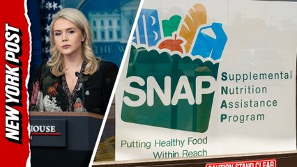 White House defends SNAP delay, says Trump 'fully complying' with court ruling