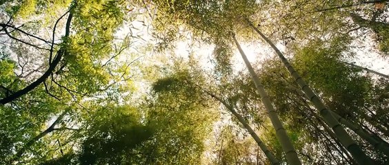 Twin Fates – Shuang Sheng Qi (2025) Episode 23 | Chinese subbed EN