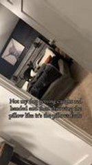 Dog Stops Humping Pillow When Caught on Camera
