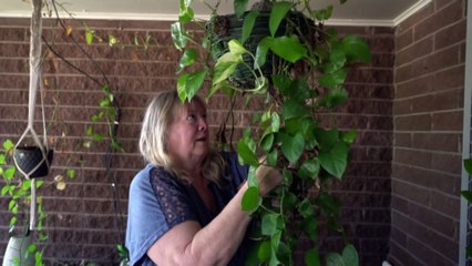 Regional WA residents fear a possible airfare price hike next year