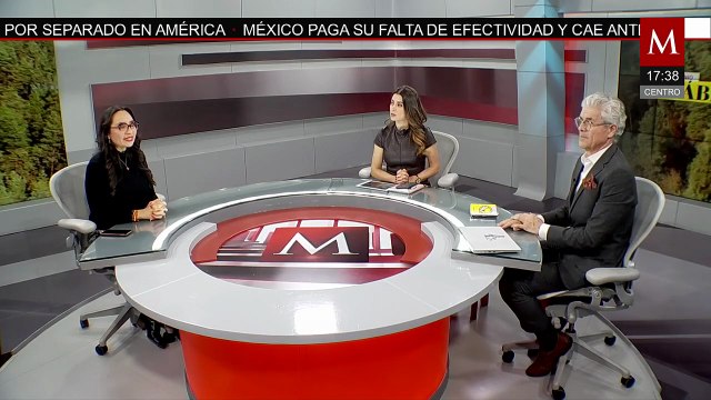 Vaquita Marina Frida: Un rayo de esperanza para la especie más amenazada | Milenio Hábitat