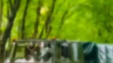 VID-20251105-WA0000