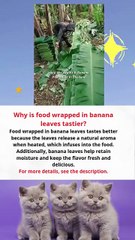 Why is food wrapped in banana leaves tastier