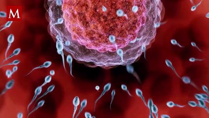 ¿La IA puede hacerte madre o padre? El avance que cambia la fertilidad humana