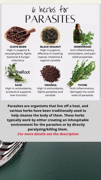 🌿 6 Herbs Traditionally Used for Parasite Cleansing