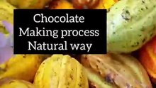How #chocolate is made, naturally