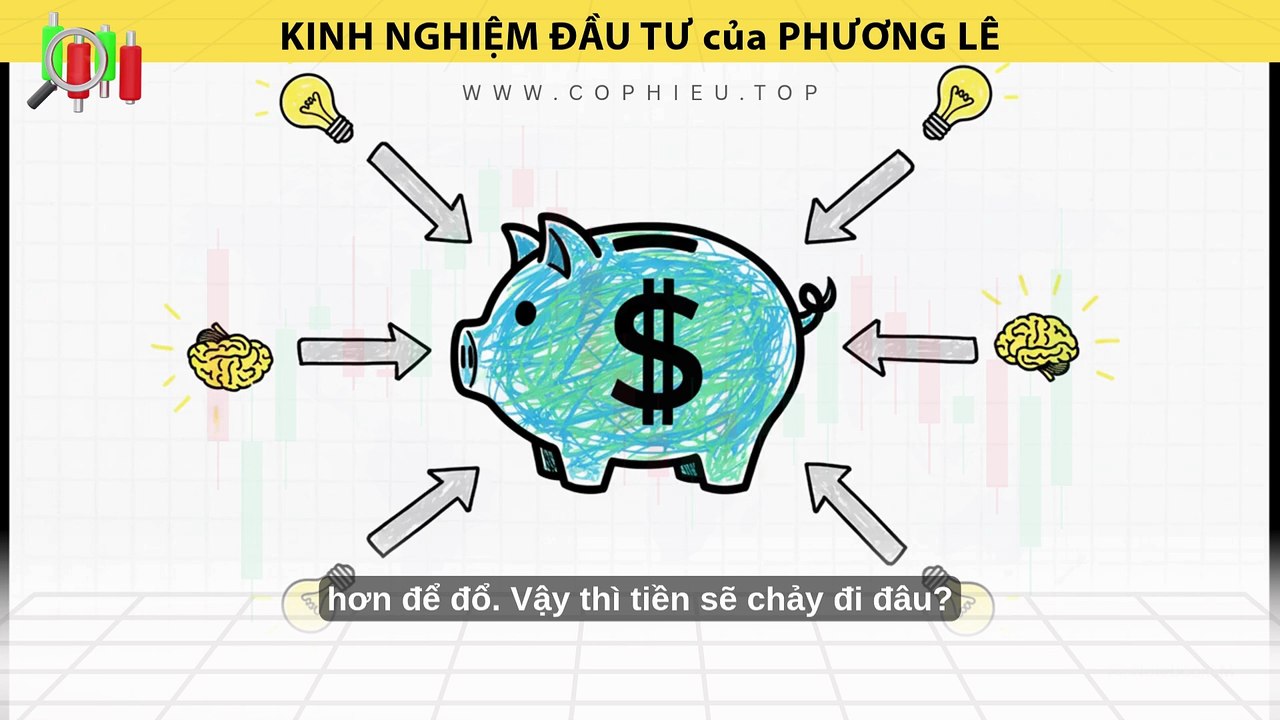 dau tu usd