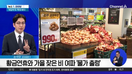 장바구니 물가 상승…소비쿠폰 영향?