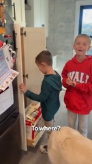 Young Jets fans upset after learning of Sauce Garner & Quinnen Williams trades