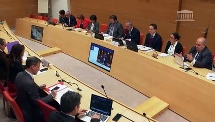 Délégation aux collectivités territoriales et à la décentralisation : Mme Carole Delga, présidente de la région Occitanie, présidente de Régions de France - Mardi 4 novembre 2025