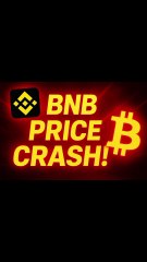 BNB PRICE CRASH!