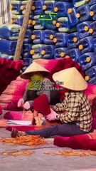 Quang Phu Cau, Hanoi | The Colorful Incense Village of Vietnam