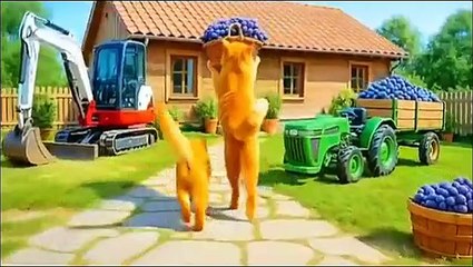 Cutest cute Cat Moments That Will Melt Your Heart | Adorable Kitty Compilation.