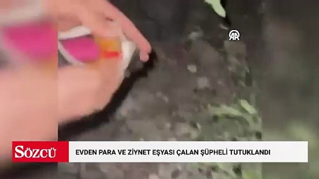 Evden para ve ziynet eşyası çalan şüpheli tutuklandı