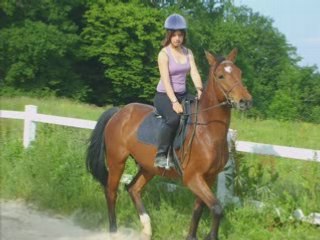 cheval laura et nadja