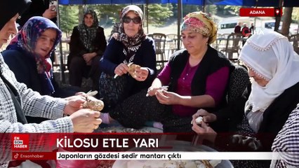 Adana'da kilosu etle yarışıyor: Japonların gözdesi sedir mantarı çıktı