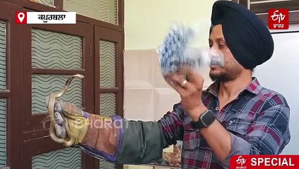 "ਸੱਪਾਂ ਦੀ ਜਾਨ ਬਹੁਤ ਪਿਆਰੀ", ਕਈ ਵਾਰ ਡੰਗਿਆ, ਪਰ ਸੇਵਾ ਜਾਰੀ