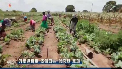 Notícias do exterior na Televisão Central da Coreia (04.11.2025)