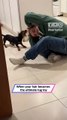 Dog vs Girl: The Hilarious Hair Tug Battle You Have to See!|| Heartsome 💖