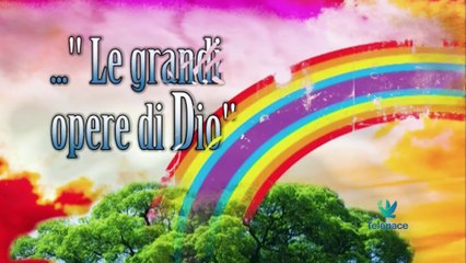 Medaglioni 052 Non sarà l'unico viaggio apostolico