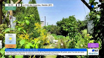 05/11/2025 - ici matin par ici Limousin en vidéo