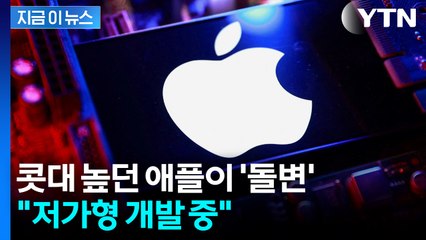 저가형 안 만든다더니...위기감 느낀 애플 '태세 전환' [지금이뉴스] / YTN