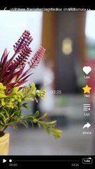 When Savings Go Missing Full Movie Chinese Drama