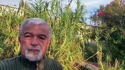 Anadolu Parsı'nın yaşam alanı olan Türkiye'nin doğa harikası milli parkının son hali kahretti