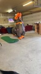 Dog Gets Scared After Man Spins Around in Wiener Dog Costume