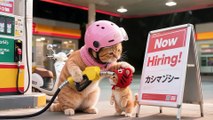 Tiger-Hat Kitten the Gas Station Hero! ⛽🐾 Wears Work Cap to Refuel & Stops Driver from Smoking 🚭🐱