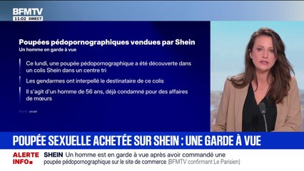 Un homme placé en garde à vue après avoir commandé une poupée pédopornographique sur Shein