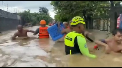 Filippine devastate dal tifone Kalmaegi: "L'acqua si è presa tutto"