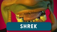 Le VRAI visage de Shrek