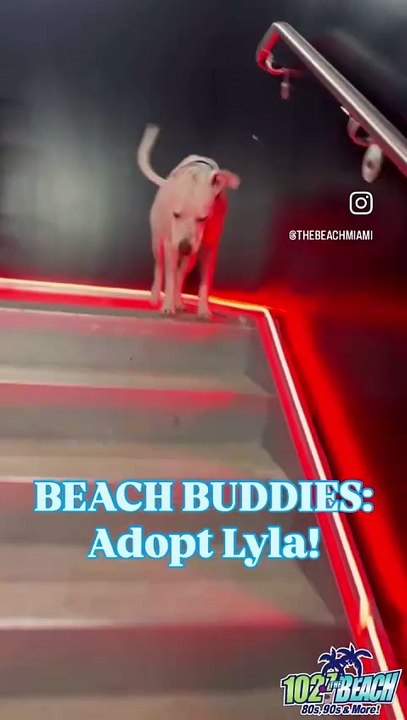 Lyla Beach Buds
