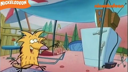 Les Castors Allumés - Une saucisse