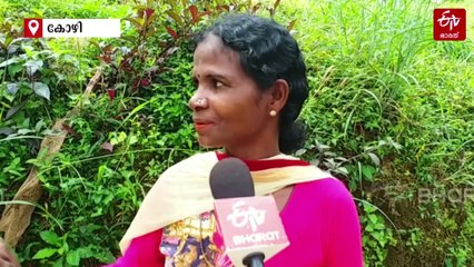 വോട്ട് വരുമ്പോൾ മാത്രം എത്തുന്ന നേതാക്കൾ: വന്യജീവി ആക്രമണത്തിൽ കൃഷി ഉപേക്ഷിച്ച് കർഷകർ; ശൂന്യമായി ഗ്രാമങ്ങൾ