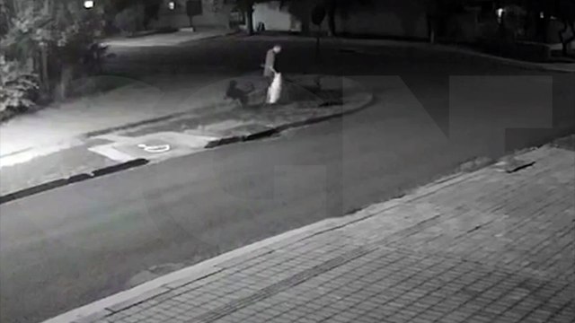 Vídeo mostra momento em que homem foi atacado por cachorros no Bairro Tropical