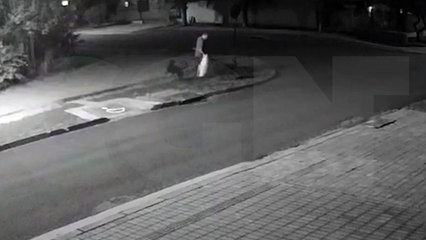 Vídeo mostra momento em que homem foi atacado por cachorros no Bairro Tropical