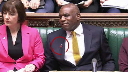 Moment Lammy puts poppy on midway through PMQs