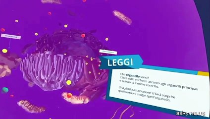 AIRC, viaggio nella cellula umana per scoprire come nasce la ricerca