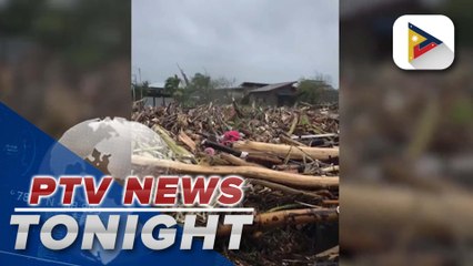 Netizen posts photos of fallen trees in their community following #TinoPH’s’ onslaught
