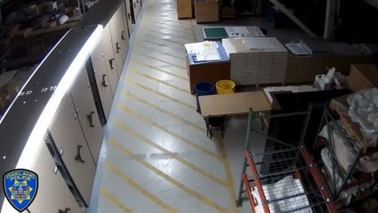 Thieves make off with 1,000 artifacts from California museum in newly-released surveillance footage