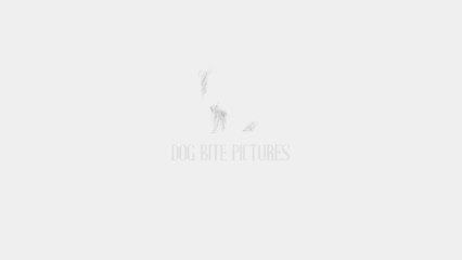 Primer Tráiler Oficial de 'The Dog Bite Murders'